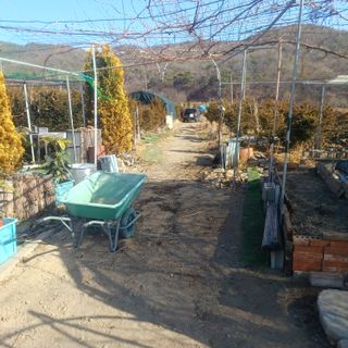 正覺님의 기타작물 · 영농일지 작성글 사진