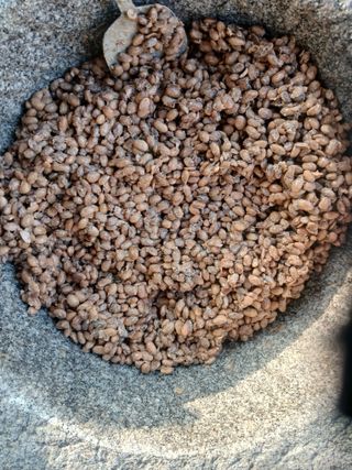 최남옥님의 기타작물 · 영농일지 작성글 사진