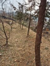 팜모닝 기타작물·영농일지 게시글 이미지