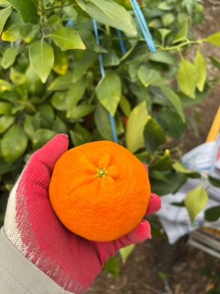 님의 작성글 사진