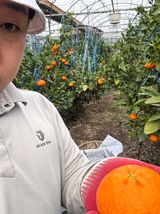 님의 작성글 사진