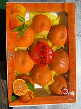 님의 작성글 사진