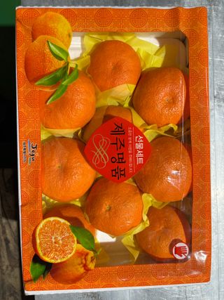 님의 귤 · 영농일지 작성글 사진