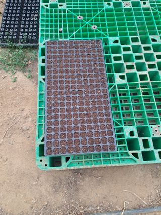 한림한경님의 기타작물 · 영농일지 작성글 사진