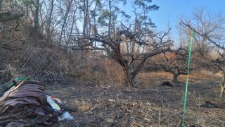 화양초보님의 기타작물 · 영농일지 작성글 사진