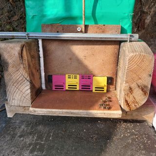 가로수님의 기타작물 · 영농일지 작성글 사진