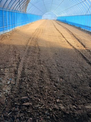 김영경님의 기타작물 · 영농일지 작성글 사진