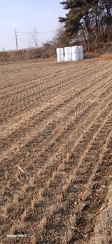 팜모닝 기타작물·영농일지 게시글 이미지