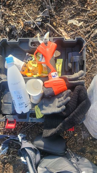 화양초보님의 기타작물 · 영농일지 작성글 사진