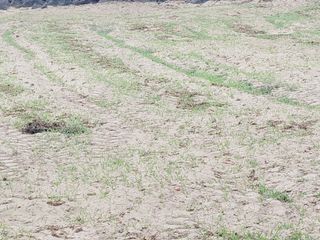 한경훈님의 기타작물 · 영농일지 작성글 사진