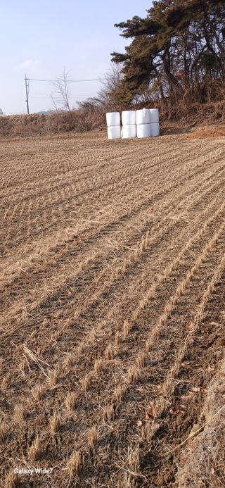 산양 위만(엄문섭)님의 기타작물 · 영농일지 작성글 사진