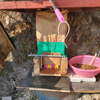 가로수님의 기타작물 · 영농일지 작성글 사진