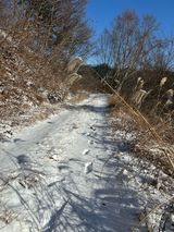 팜모닝 기타작물·영농일지 게시글 이미지