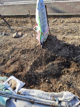 김용대님의 기타작물 · 영농일지 작성글 사진