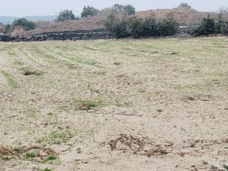 한경훈님의 기타작물 · 영농일지 작성글 사진