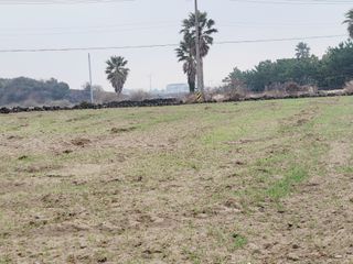 한경훈님의 기타작물 · 영농일지 작성글 사진