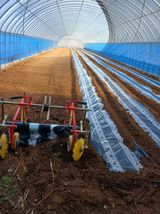 팜모닝 기타작물·영농일지 게시글 이미지