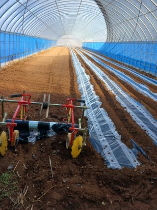 김영경님의 기타작물 · 영농일지 작성글 사진