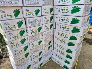 늘햇살팜 님의 기타작물 · 영농일지 작성글 사진