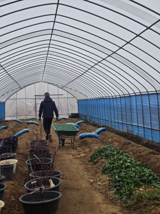 비타민님의 고추 · 영농일지 작성글 사진