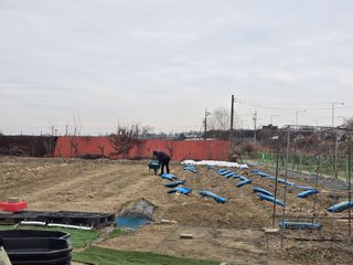 비타민님의 고추 · 영농일지 작성글 사진