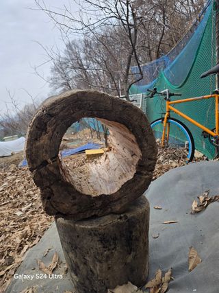 소병찬님의 기타작물 · 영농일지 작성글 사진