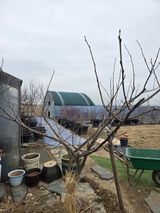 비타민님의 작성글 사진