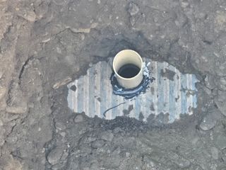 송명식님의 기타작물 · 영농일지 작성글 사진