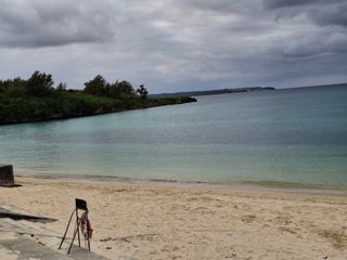 김철우님의 기타작물 · 영농일지 작성글 사진