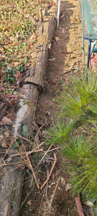 정응화님의 기타작물 · 영농일지 작성글 사진