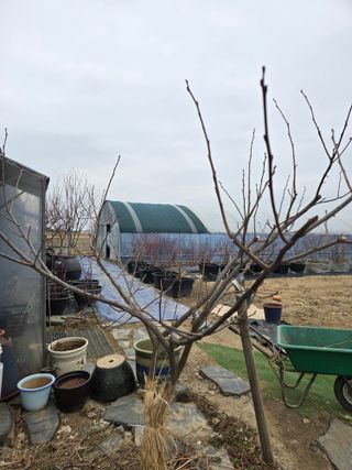 비타민님의 고추 · 영농일지 작성글 사진