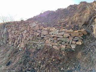 행운목(이옥도)님의 기타작물 · 영농일지 작성글 사진