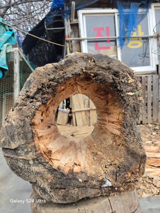 소병찬님의 기타작물 · 영농일지 작성글 사진