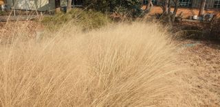 정천복님의 기타작물 · 영농일지 작성글 사진