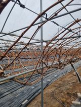 팜모닝 포도·영농일지 게시글 이미지