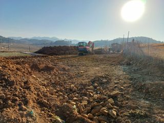 행운목(이옥도)님의 기타작물 · 영농일지 작성글 사진