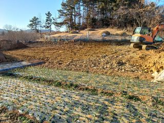 행운목(이옥도)님의 기타작물 · 영농일지 작성글 사진