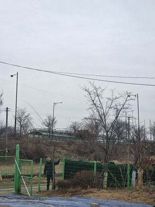 비타민님의 고추 · 영농일지 작성글 사진