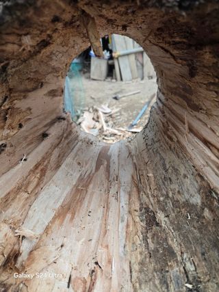 소병찬님의 기타작물 · 영농일지 작성글 사진