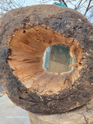 소병찬님의 기타작물 · 영농일지 작성글 사진