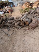 팜모닝 기타작물·영농일지 게시글 이미지