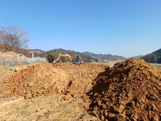 행운목(이옥도)님의 기타작물 · 영농일지 작성글 사진