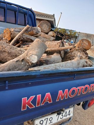 최유순님의 기타작물 · 영농일지 작성글 사진