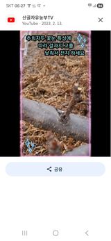 팜모닝 기타작물·영농일지 게시글 이미지