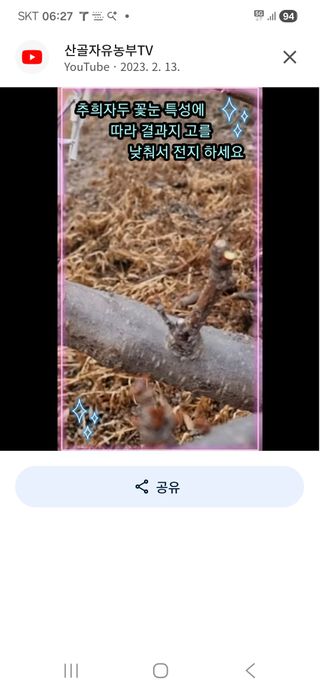 젠틀맨님의 기타작물 · 영농일지 작성글 사진