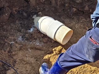 송명식님의 기타작물 · 영농일지 작성글 사진