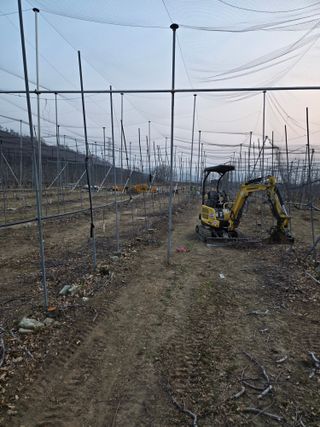 홍1237님의 사과 · 영농일지 작성글 사진