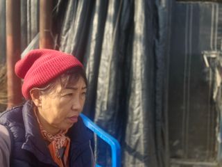 늘햇살팜 님의 기타작물 · 영농일지 작성글 사진