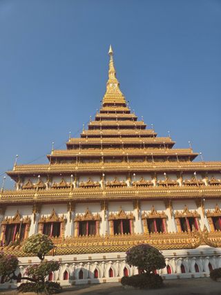 최동수님의 기타작물 · 영농일지 작성글 사진