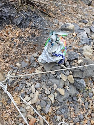 김용대님의 기타작물 · 영농일지 작성글 사진